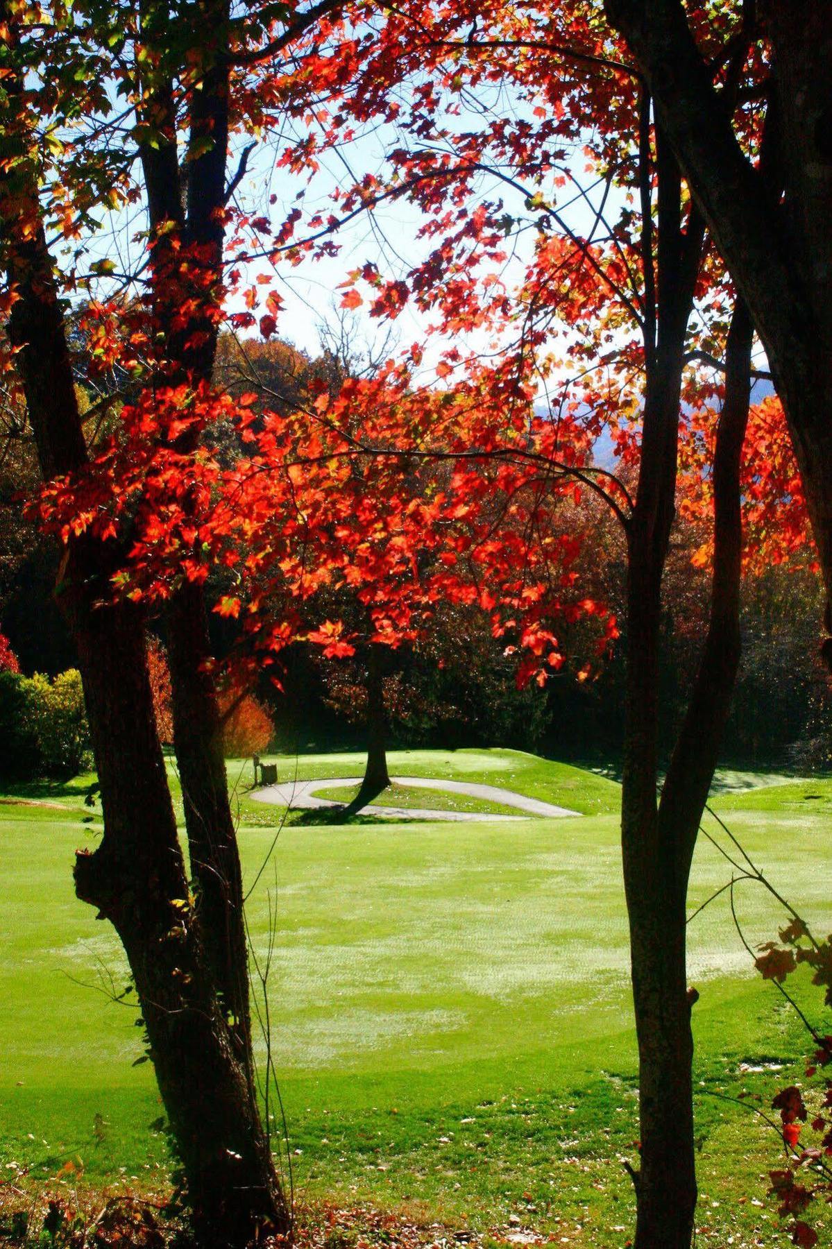 Peppertree Maggie Valley Aparthotel ภายนอก รูปภาพ